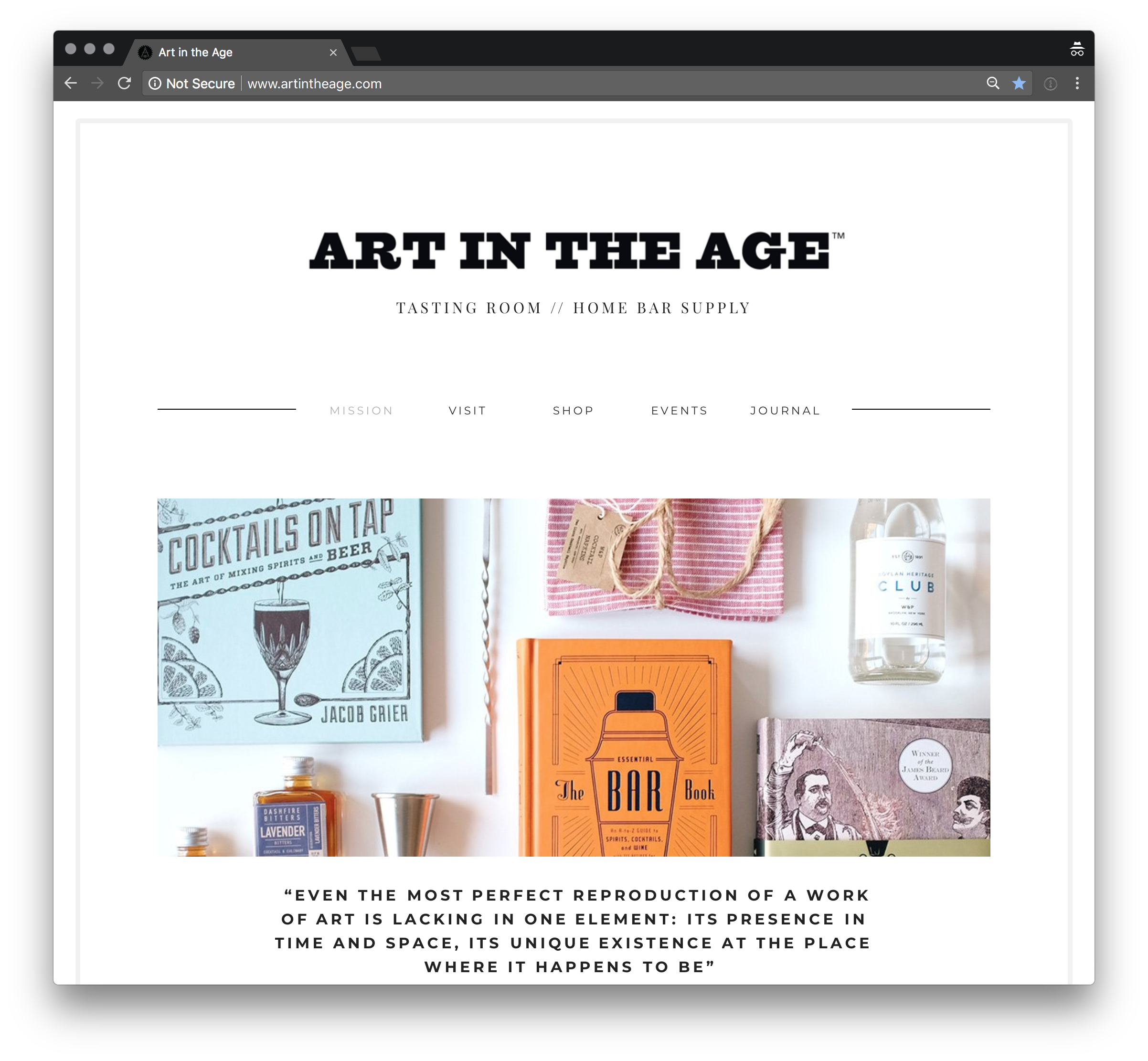 Art in the Age Website